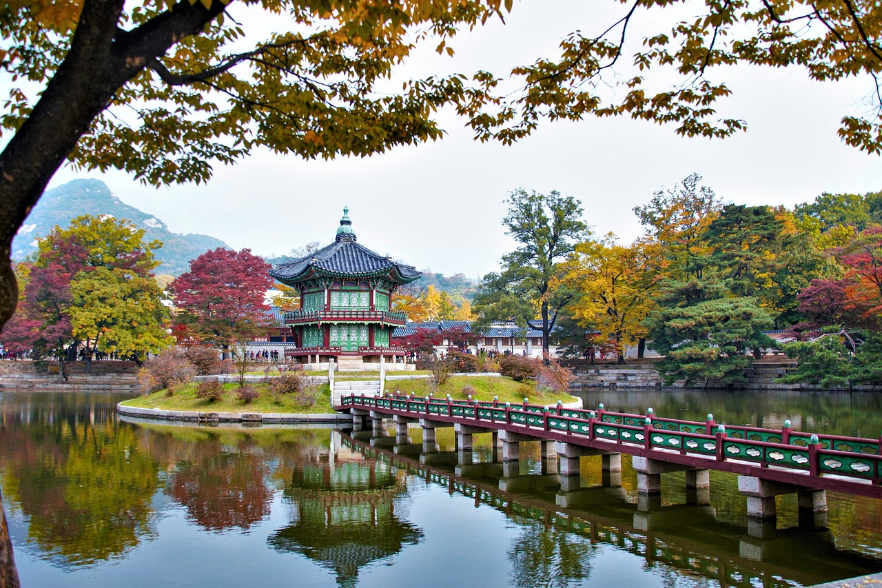 광화문 치과