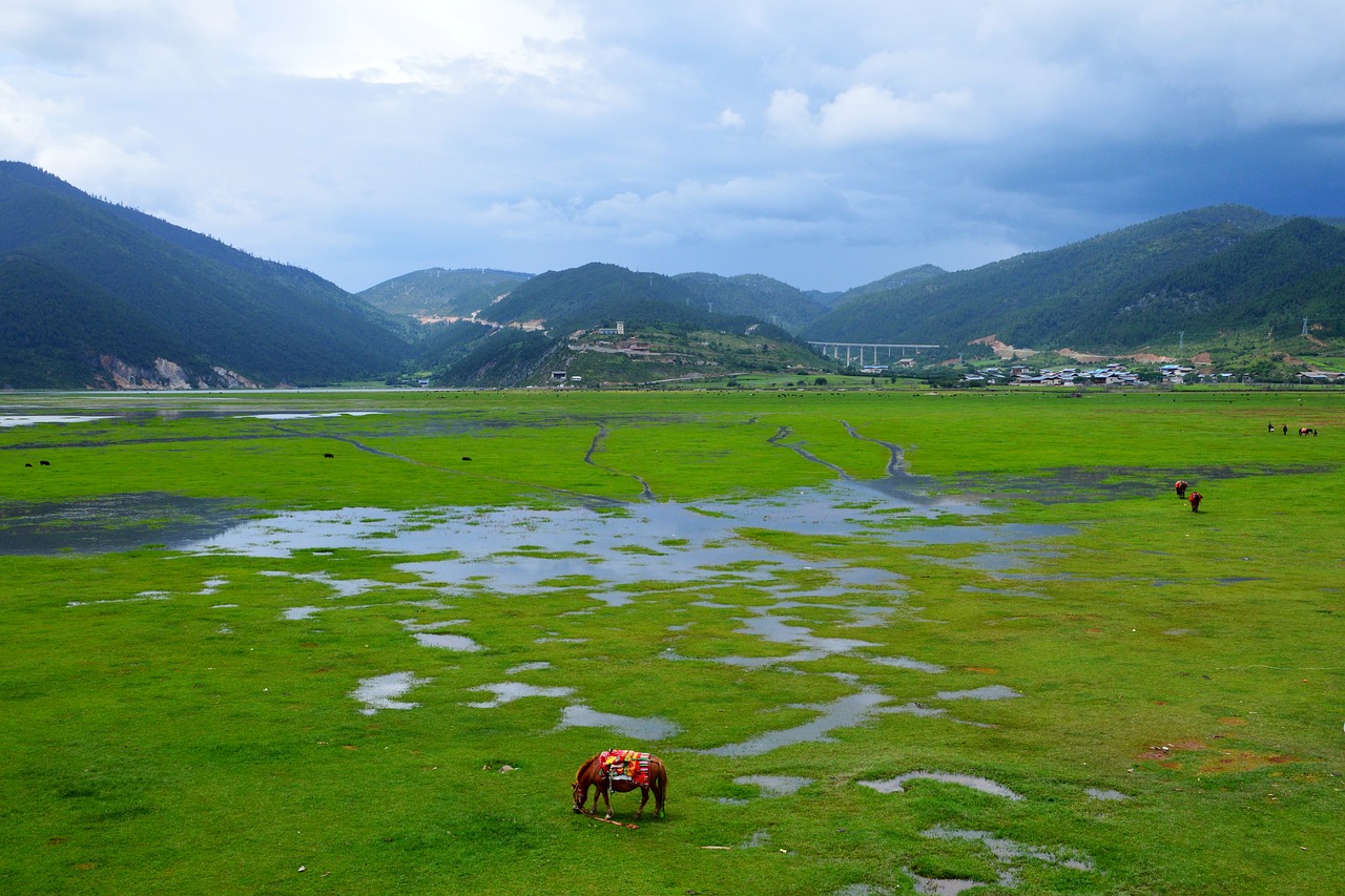 세부샹그릴라
