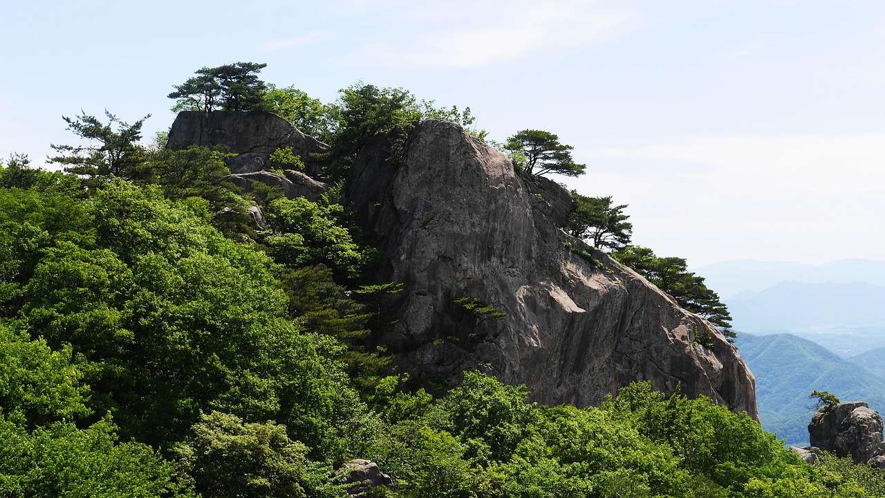 무주군청