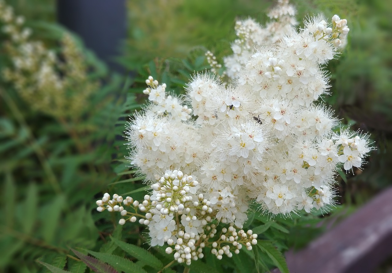 세종시 족발집
