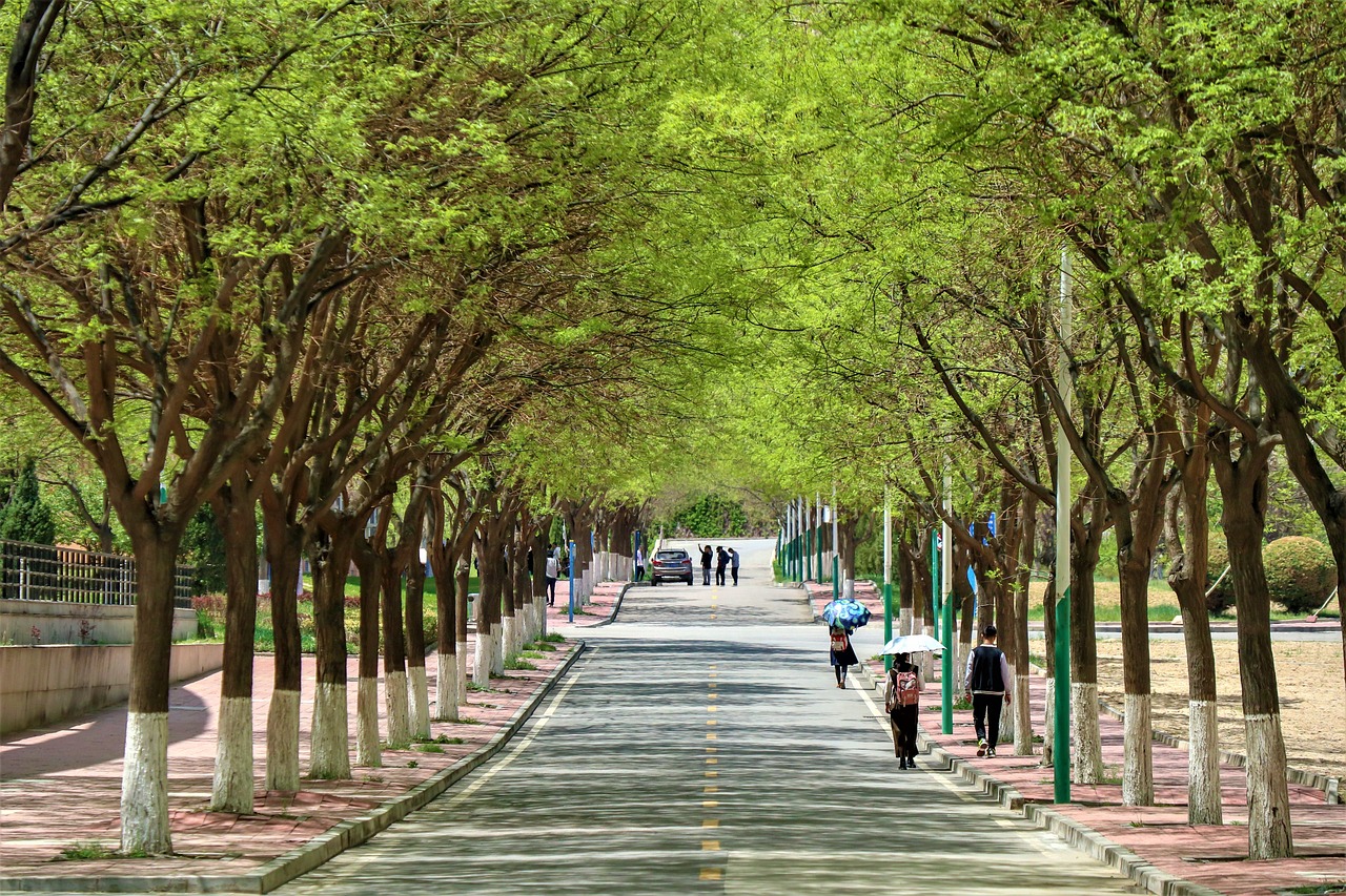 악필교정 hwp