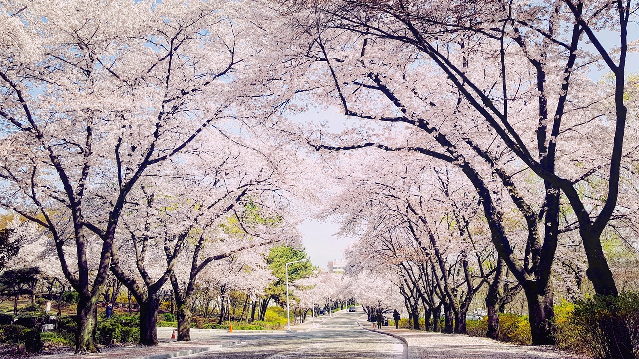 대구 북구 고깃집