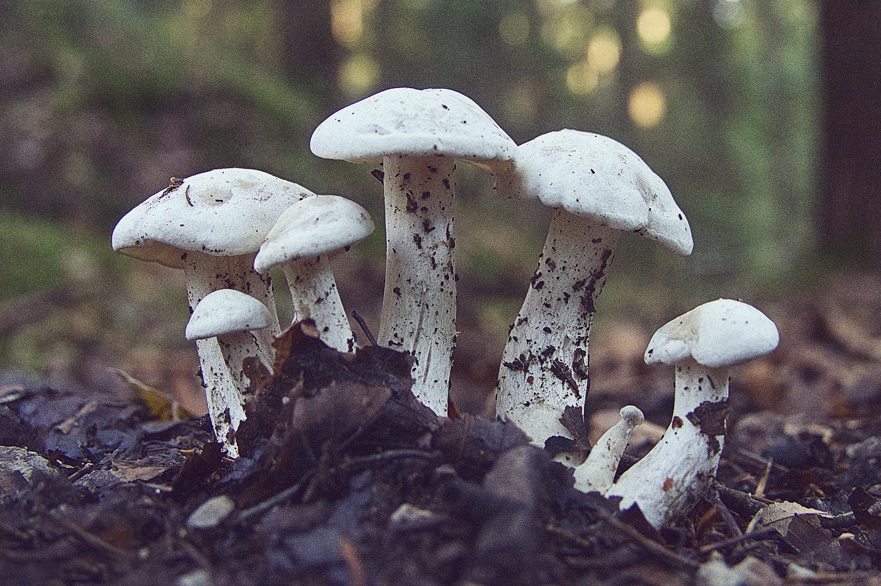 광주광역시 산림조합