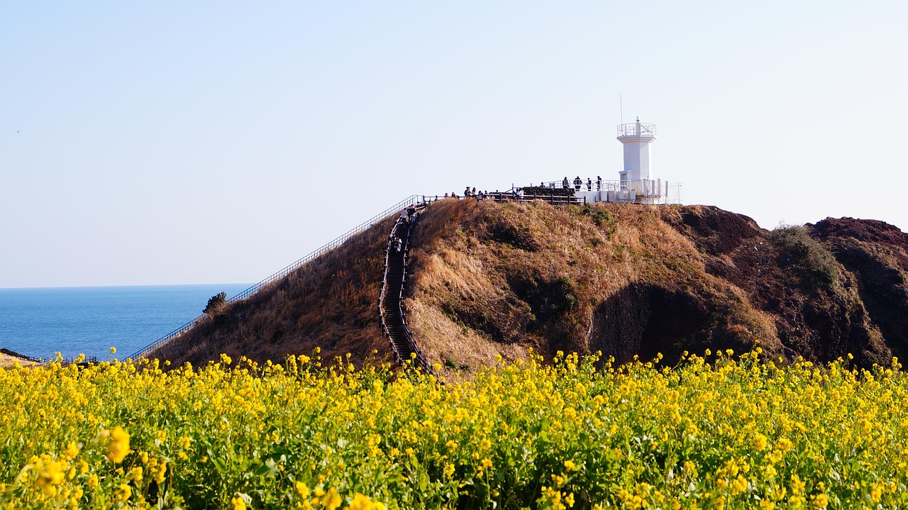 제주도 차 렌트 유의사항