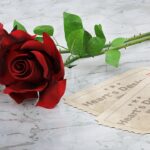 버티컬 믹서기로 만드는 건강한 스무디 레시피 알아보기