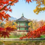 서울메디케어 이용하는 꿀팁 4가지